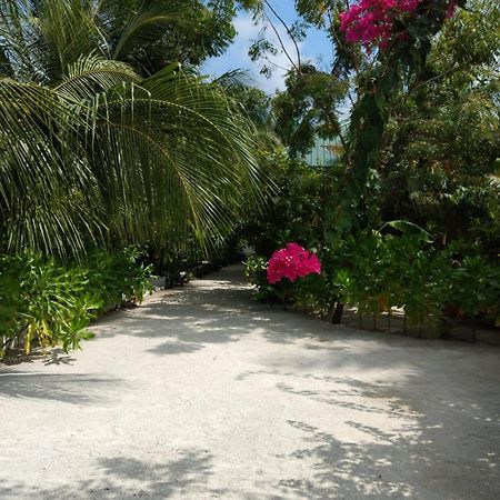 Sunrise Inn Тодду Экстерьер фото